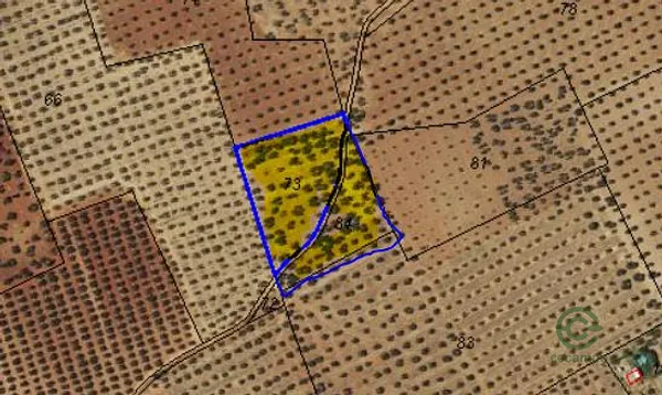Spot image