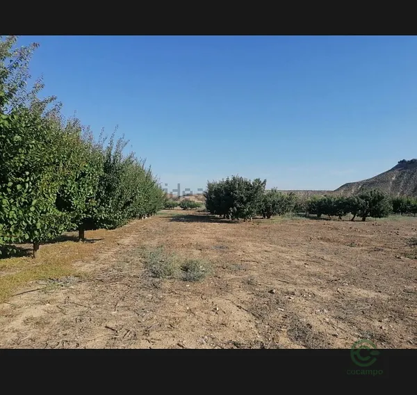 Finca agrícola de 2,5 ha en venta en Lérida
