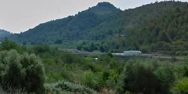 Spot image