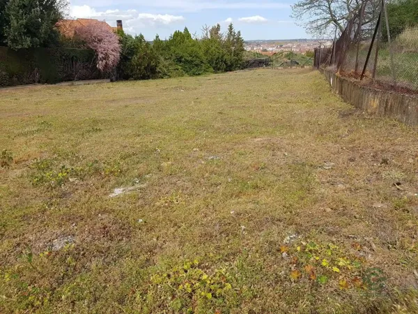 Spot image