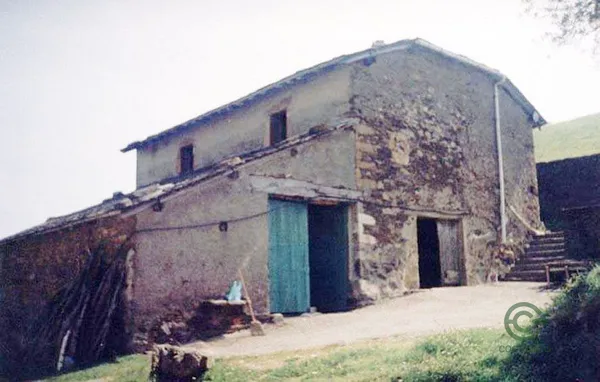 Spot image