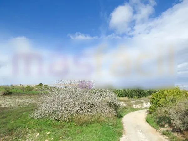 Spot image