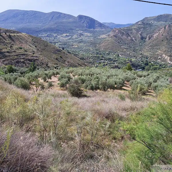 Spot image