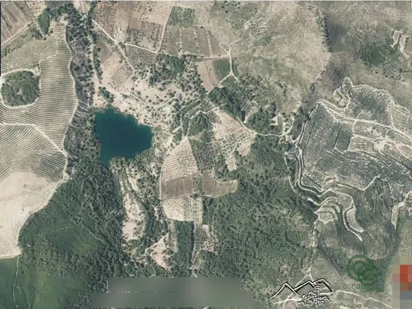 Spot image