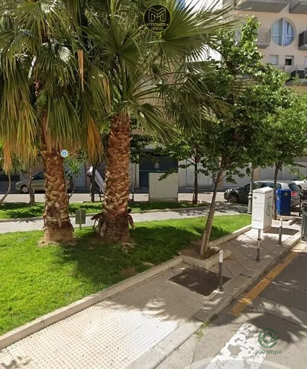 Spot image