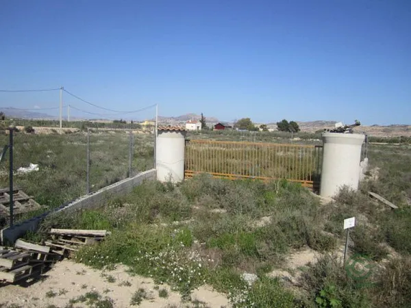 Spot image