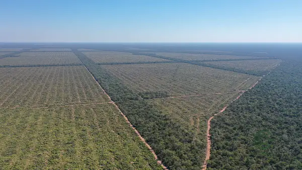 Finca rústica de 7856 ha en venta en Salta
