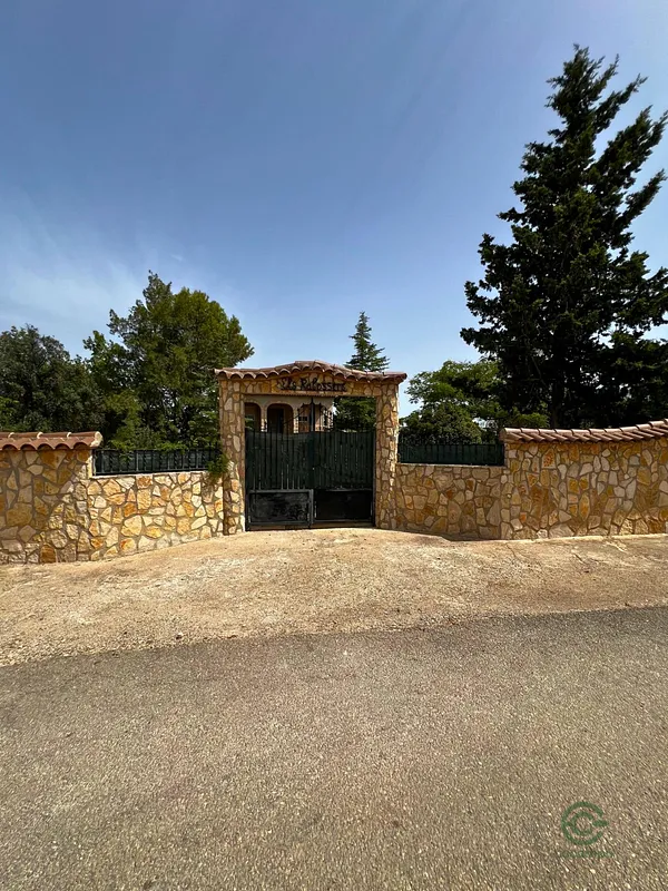 Spot image