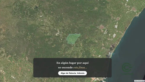 Spot image
