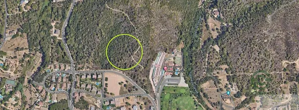 Spot image