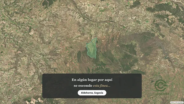 Spot image