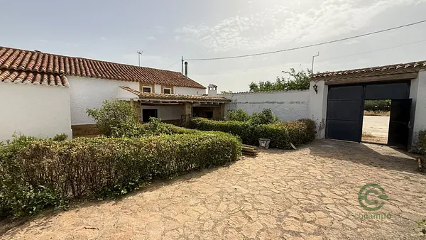 Spot image