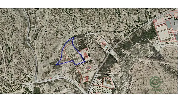 Spot image