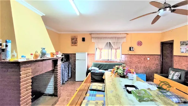 Spot image