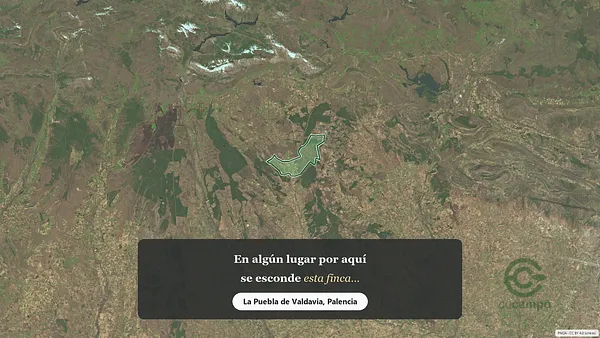 Spot image