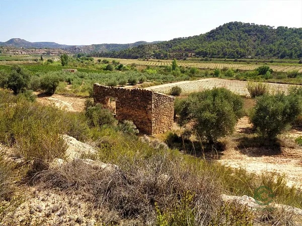 Spot image