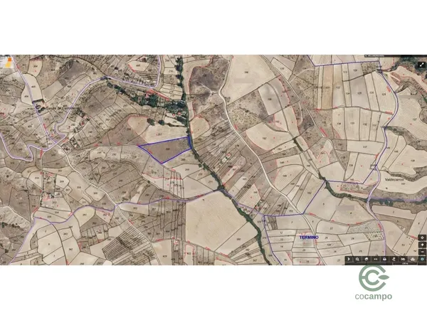 Spot image