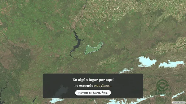 Spot image