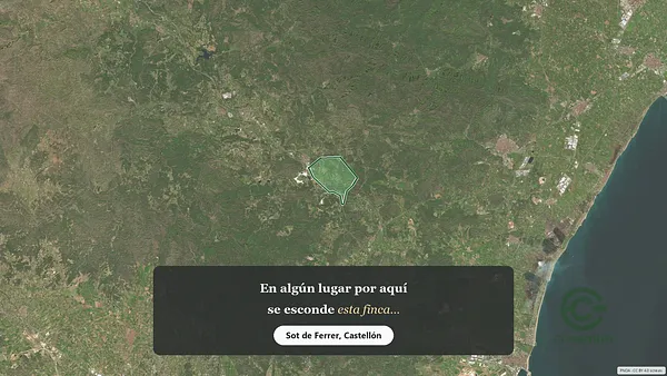 Spot image