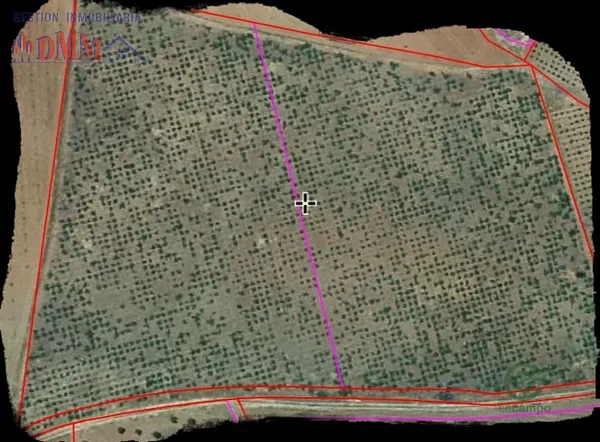 Finca agrícola de 3,657 ha en venta en Malagon, Ciudad real