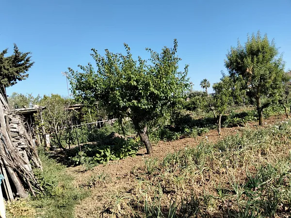Finca agrícola de 0,3 ha en venta en Chiclana de la frontera, Cádiz