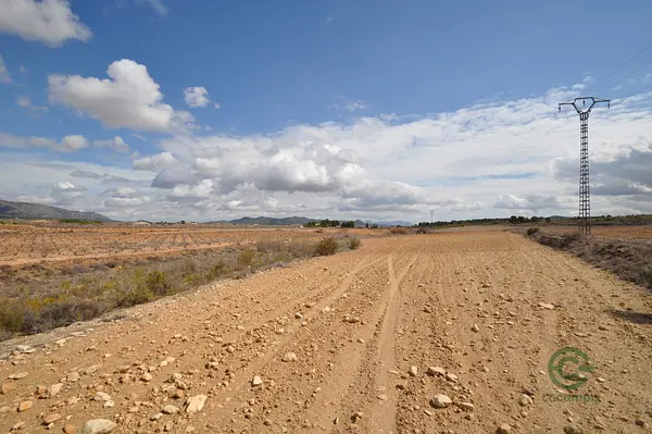 Spot image