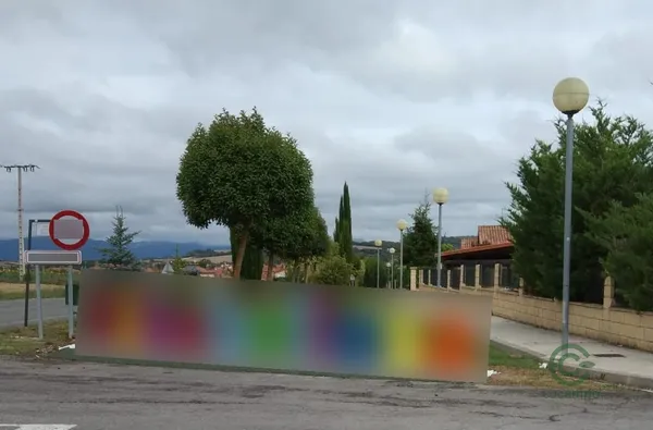 Spot image