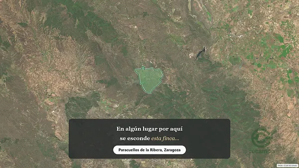 Spot image