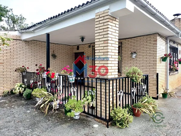 Spot image