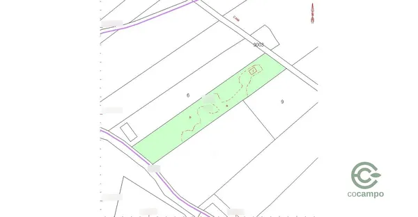 Spot image