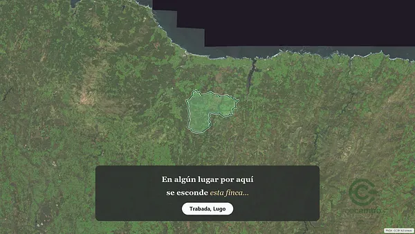 Spot image