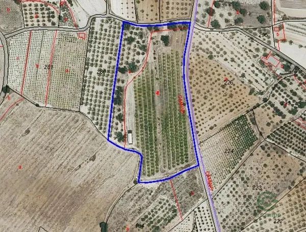 Spot image
