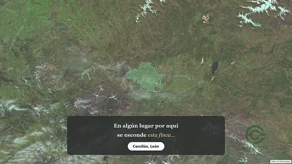 Spot image