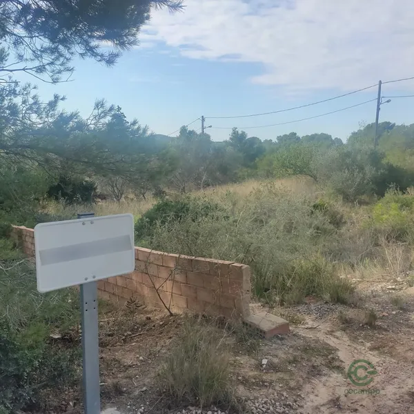 Spot image