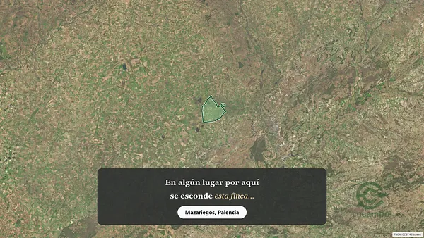 Spot image