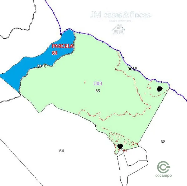 Spot image