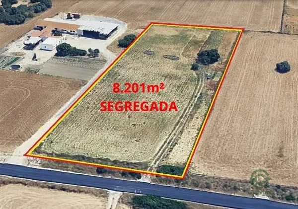 Spot image