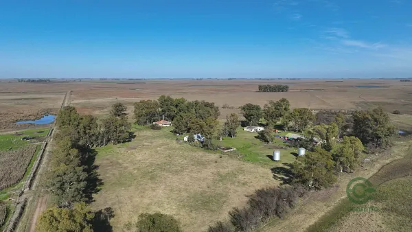 Finca ganadera de 860 ha en venta en Buenos Aires