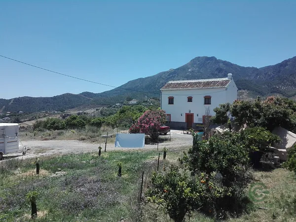Spot image