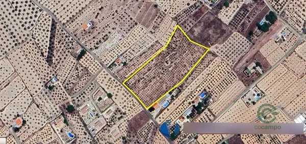 Spot image
