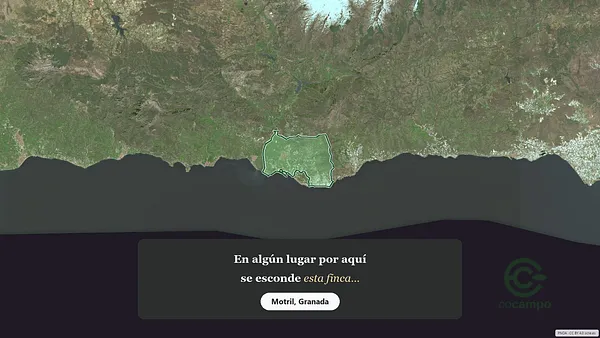 Spot image