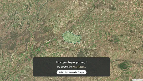 Spot image