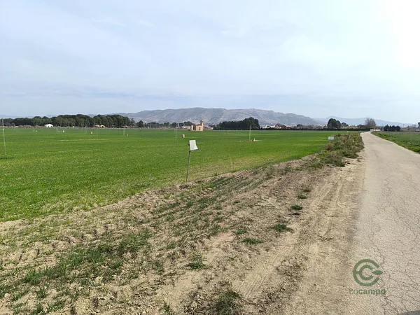 Finca rústica de 65,67 ha en venta en Villena, Alicante