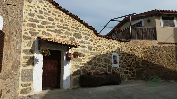 Spot image