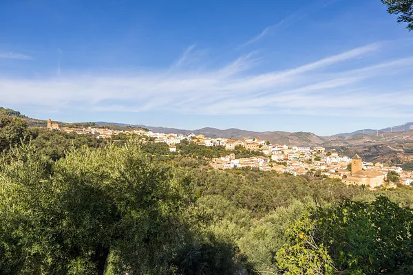 Spot image