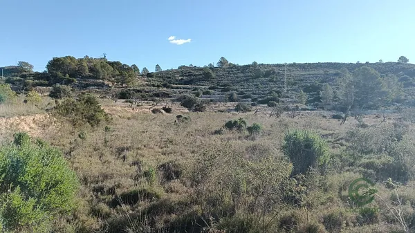 Finca rústica de 1,06 ha en venta en Alicante