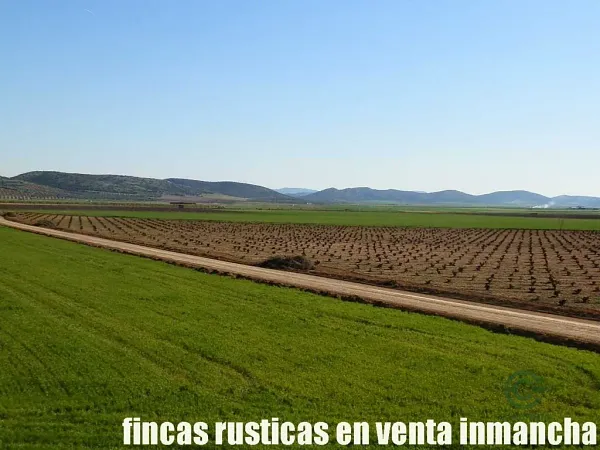Finca agrícola de 366 ha en venta en Toledo