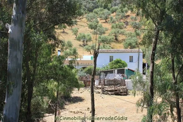Spot image
