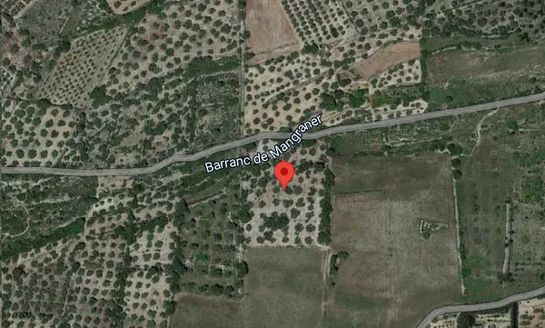 Finca rústica de 0,44 ha en venta en Ulldecona, Tarragona