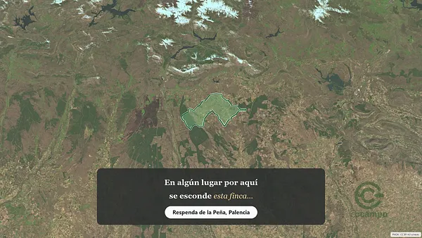 Spot image